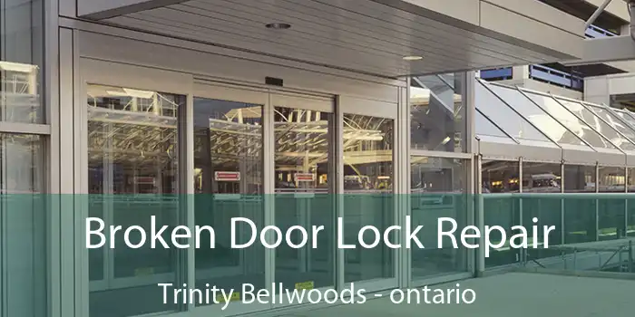 Broken Door Lock Repair Trinity Bellwoods - ontario