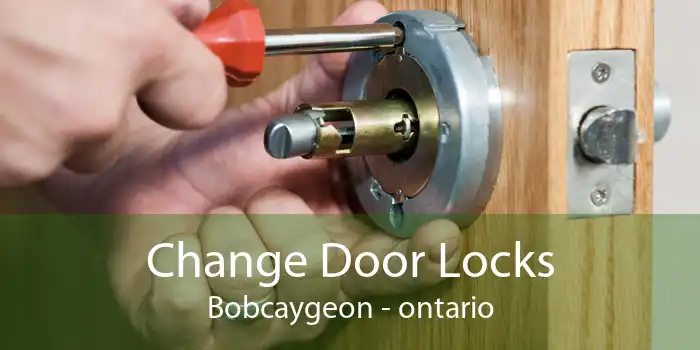 Change Door Locks Bobcaygeon - ontario