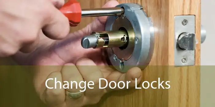 Change Door Locks 