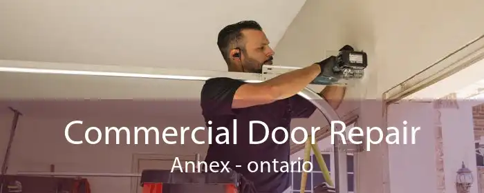 Commercial Door Repair Annex - ontario