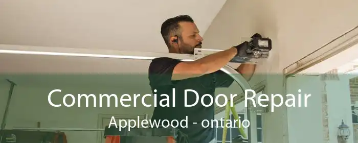 Commercial Door Repair Applewood - ontario