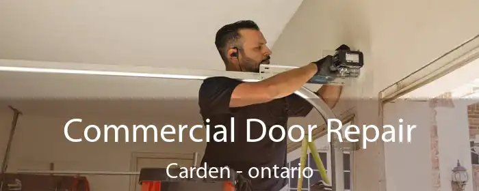 Commercial Door Repair Carden - ontario