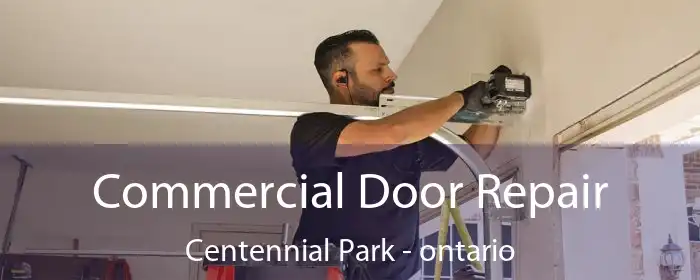 Commercial Door Repair Centennial Park - ontario