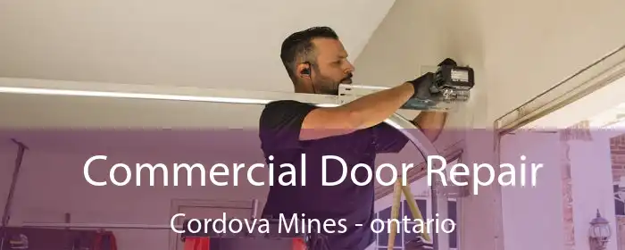 Commercial Door Repair Cordova Mines - ontario