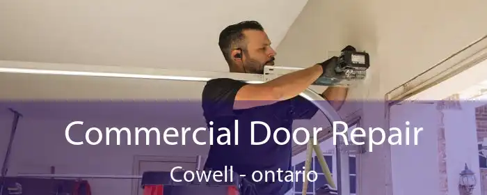Commercial Door Repair Cowell - ontario