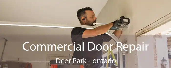 Commercial Door Repair Deer Park - ontario