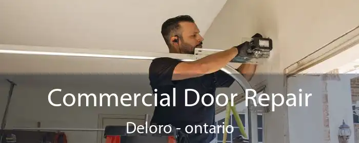 Commercial Door Repair Deloro - ontario