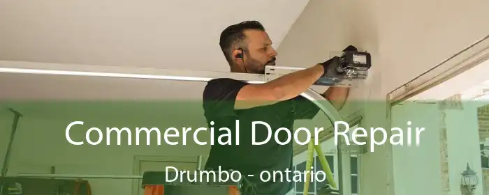 Commercial Door Repair Drumbo - ontario