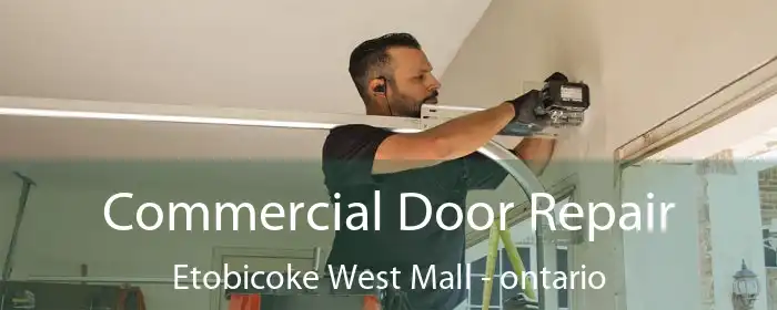 Commercial Door Repair Etobicoke West Mall - ontario