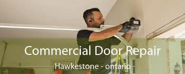 Commercial Door Repair Hawkestone - ontario