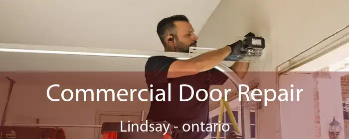 Commercial Door Repair Lindsay - ontario