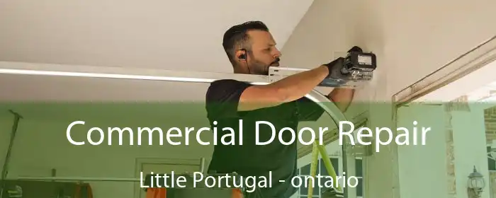 Commercial Door Repair Little Portugal - ontario