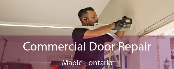 Commercial Door Repair Maple - ontario