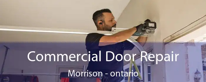 Commercial Door Repair Morrison - ontario