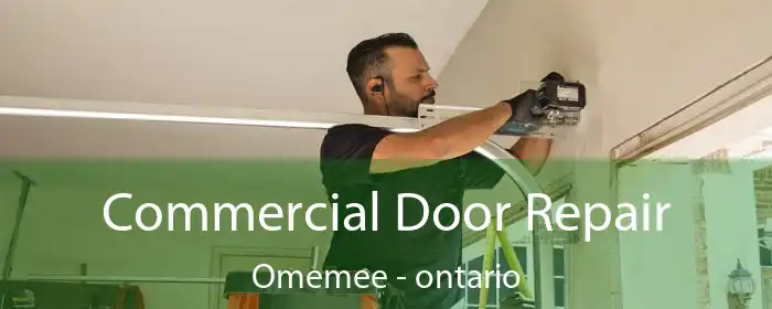 Commercial Door Repair Omemee - ontario