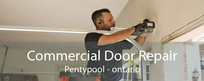 Commercial Door Repair Pentypool - ontario