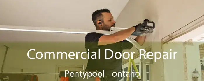Commercial Door Repair Pentypool - ontario