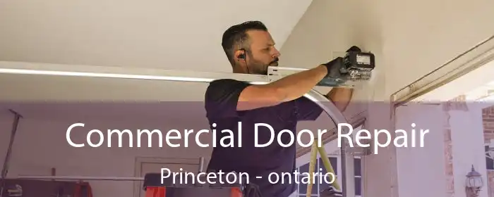 Commercial Door Repair Princeton - ontario