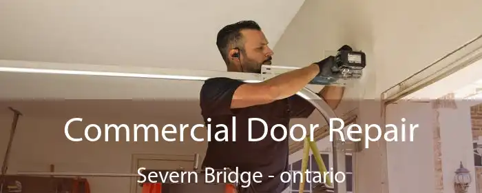 Commercial Door Repair Severn Bridge - ontario