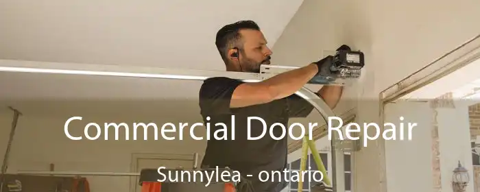 Commercial Door Repair Sunnylea - ontario