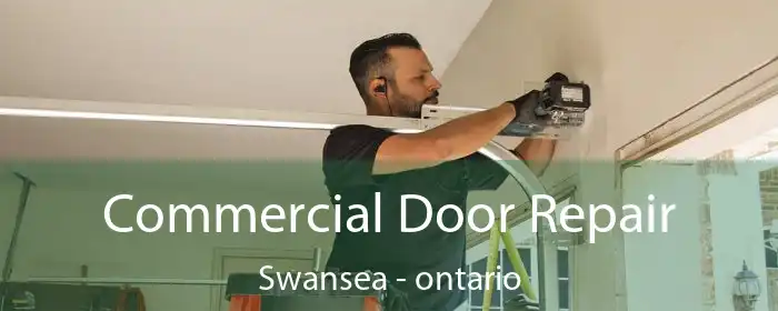 Commercial Door Repair Swansea - ontario