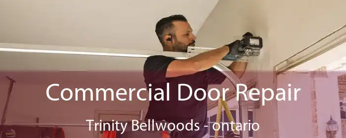 Commercial Door Repair Trinity Bellwoods - ontario