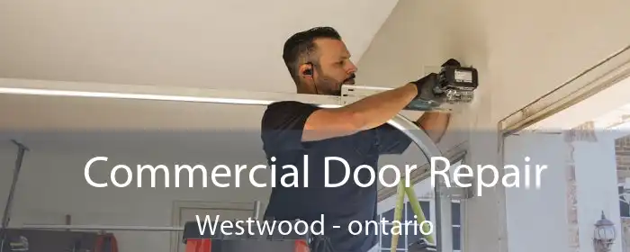 Commercial Door Repair Westwood - ontario