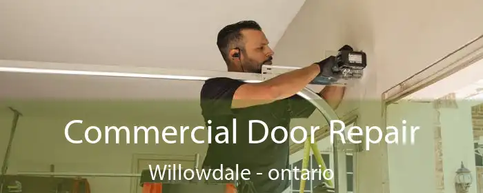 Commercial Door Repair Willowdale - ontario