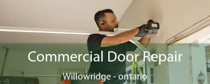 Commercial Door Repair Willowridge - ontario