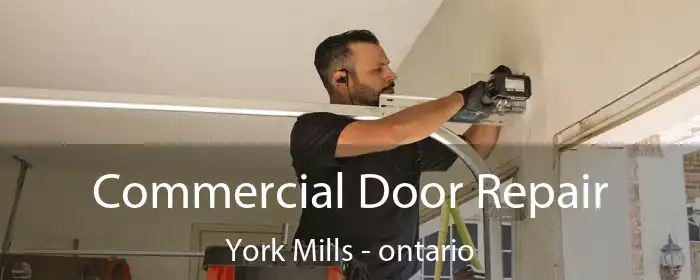 Commercial Door Repair York Mills - ontario