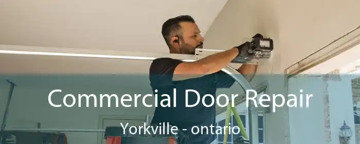 Commercial Door Repair Yorkville - ontario