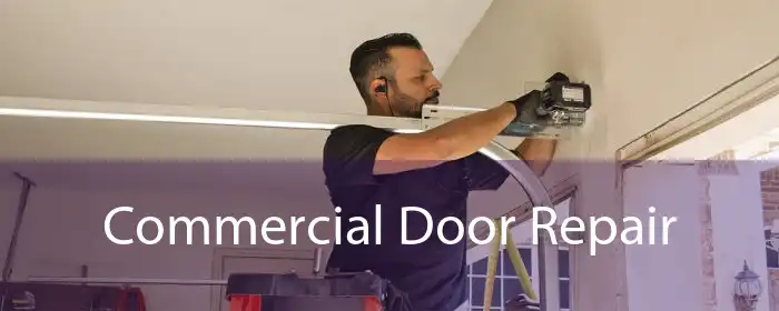 Commercial Door Repair 