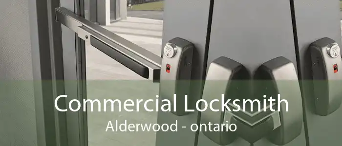 Commercial Locksmith Alderwood - ontario