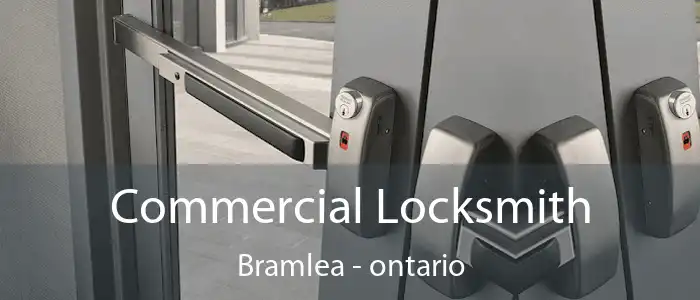 Commercial Locksmith Bramlea - ontario