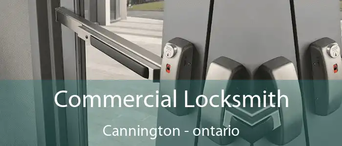 Commercial Locksmith Cannington - ontario