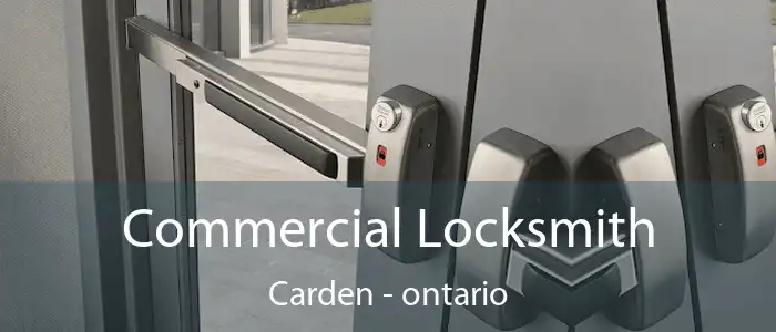 Commercial Locksmith Carden - ontario