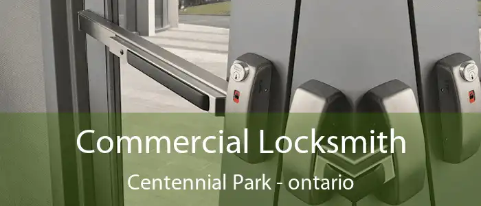 Commercial Locksmith Centennial Park - ontario