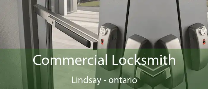 Commercial Locksmith Lindsay - ontario