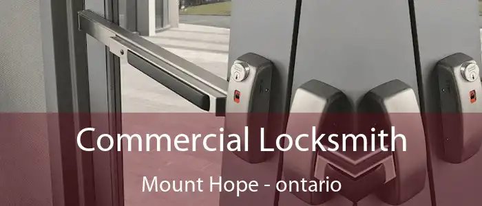 Commercial Locksmith Mount Hope - ontario