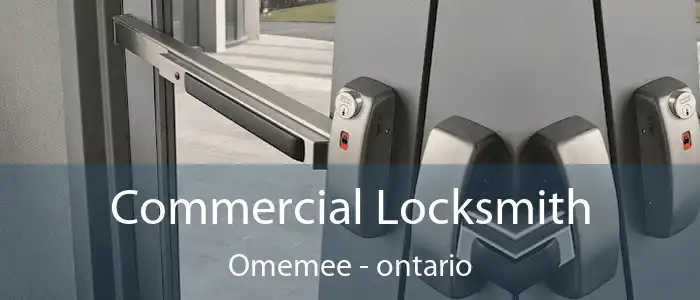 Commercial Locksmith Omemee - ontario