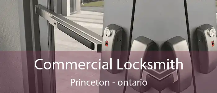 Commercial Locksmith Princeton - ontario