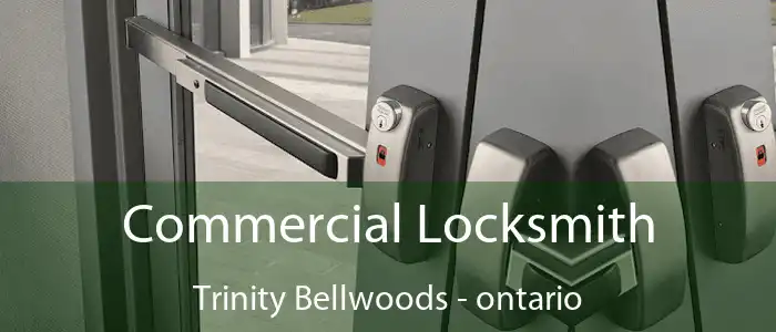 Commercial Locksmith Trinity Bellwoods - ontario