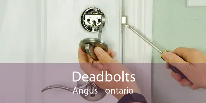 Deadbolts Angus - ontario