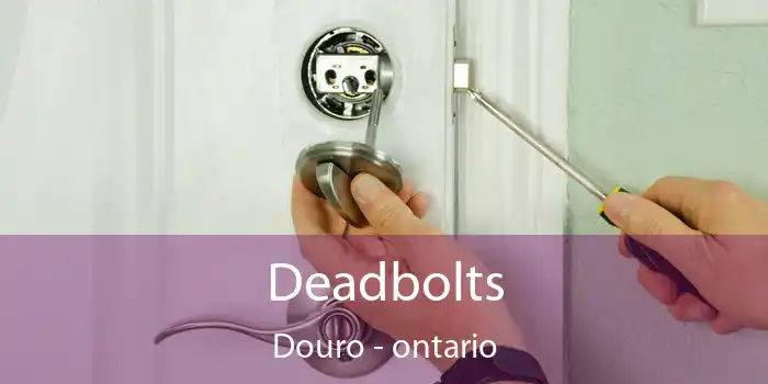 Deadbolts Douro - ontario