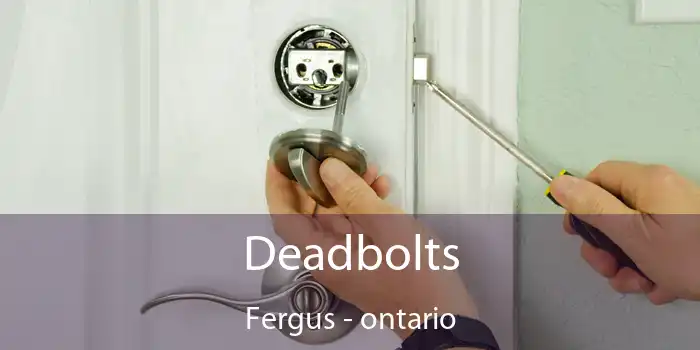 Deadbolts Fergus - ontario