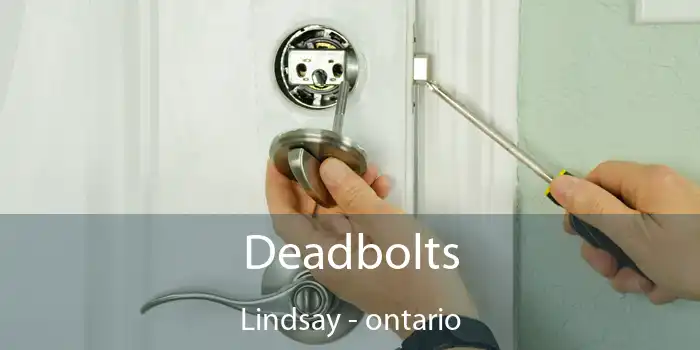 Deadbolts Lindsay - ontario