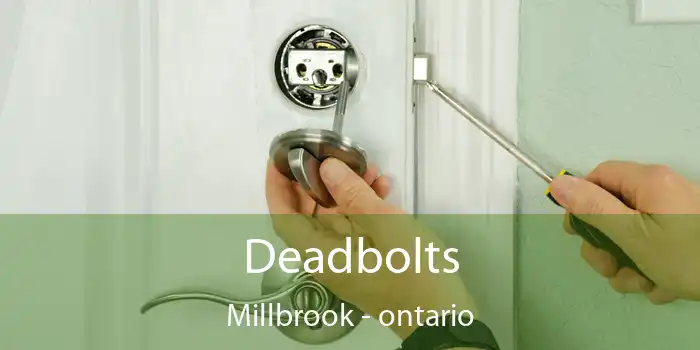 Deadbolts Millbrook - ontario