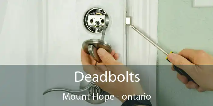 Deadbolts Mount Hope - ontario