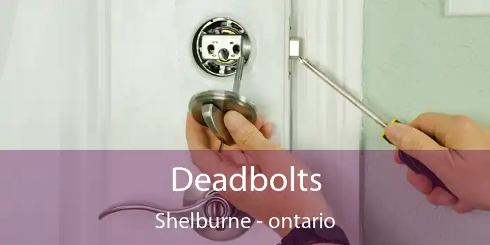 Deadbolts Shelburne - ontario