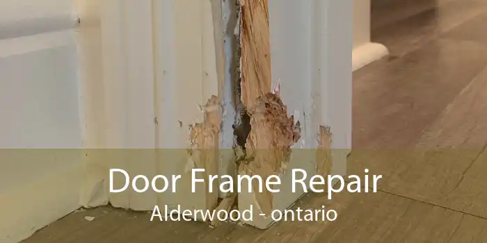 Door Frame Repair Alderwood - ontario